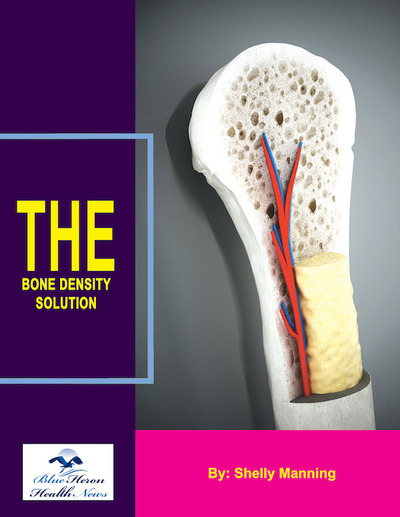 the bone density solution