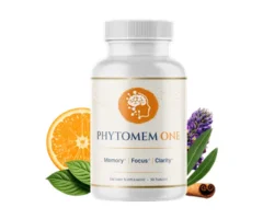 phytomen one brain supplement